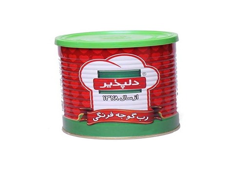 قیمت خرید رب گوجه فرنگی دلپذیر + فروش ویژه